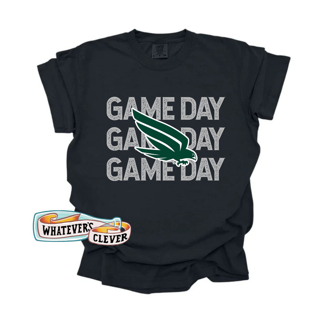 Falcons Game Day