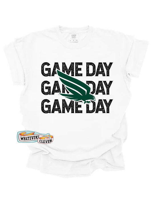 Falcons Game Day